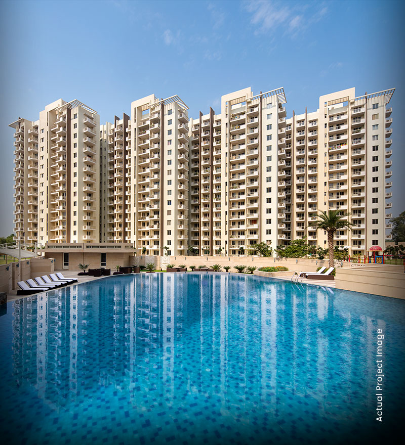 Swimming pool and leisure space at M3M Woodshire Sector 107